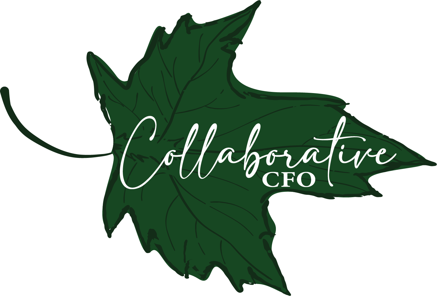 Collaborative CFO